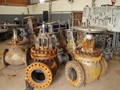 DSC00719