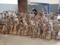 DSC00739